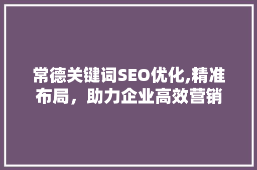 常德关键词SEO优化,精准布局，助力企业高效营销