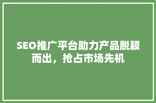 SEO推广平台助力产品脱颖而出，抢占市场先机