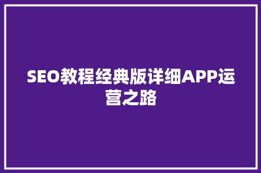 SEO教程经典版详细APP运营之路