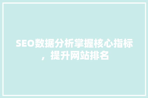 SEO数据分析掌握核心指标，提升网站排名  第1张