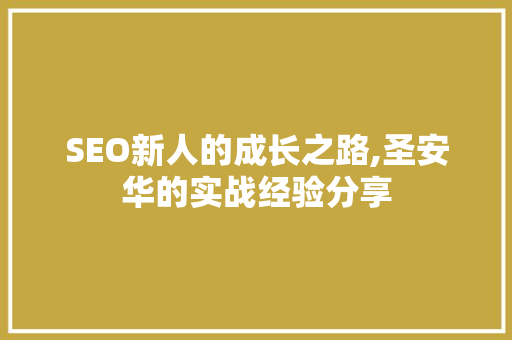 SEO新人的成长之路,圣安华的实战经验分享