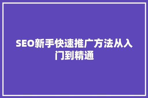 SEO新手快速推广方法从入门到精通