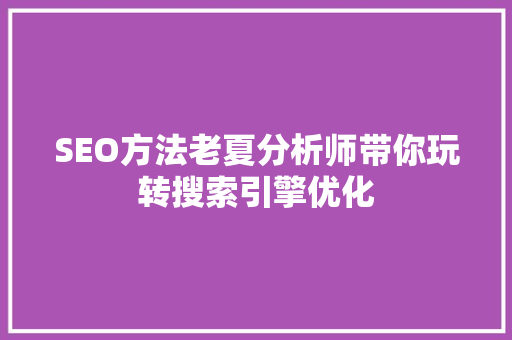 SEO方法老夏分析师带你玩转搜索引擎优化