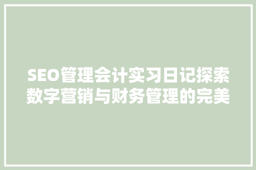 SEO管理会计实习日记探索数字营销与财务管理的完美融合