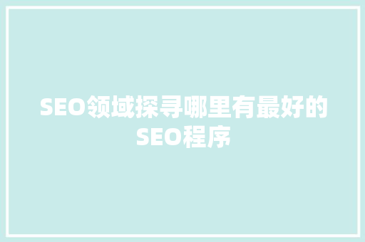 SEO领域探寻哪里有最好的SEO程序
