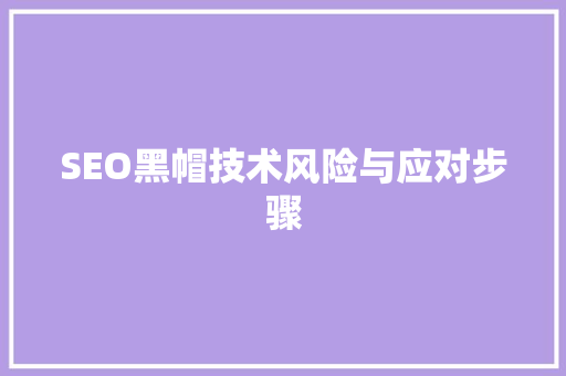 SEO黑帽技术风险与应对步骤