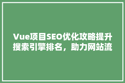 Vue项目SEO优化攻略提升搜索引擎排名，助力网站流量增长