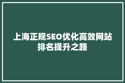 上海正规SEO优化高效网站排名提升之路