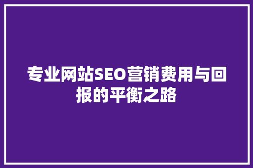 专业网站SEO营销费用与回报的平衡之路