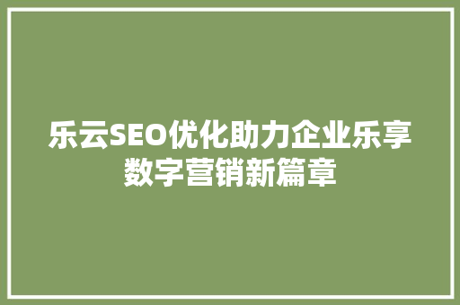 乐云SEO优化助力企业乐享数字营销新篇章