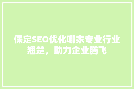 保定SEO优化哪家专业行业翘楚，助力企业腾飞