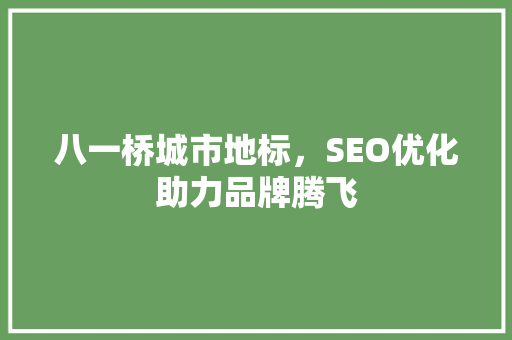八一桥城市地标，SEO优化助力品牌腾飞