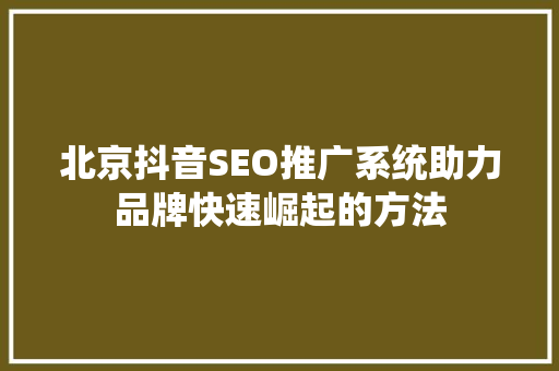 北京抖音SEO推广系统助力品牌快速崛起的方法