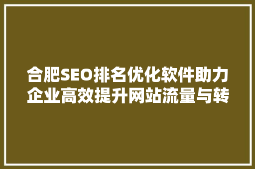 合肥SEO排名优化软件助力企业高效提升网站流量与转化率