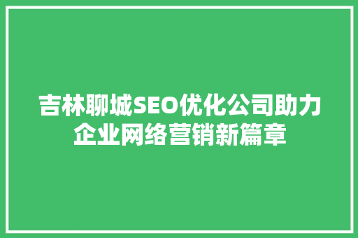 吉林聊城SEO优化公司助力企业网络营销新篇章