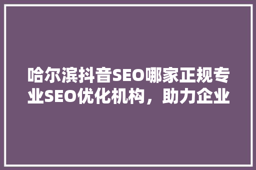 哈尔滨抖音SEO哪家正规专业SEO优化机构，助力企业腾飞