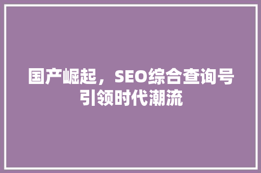 国产崛起，SEO综合查询号引领时代潮流