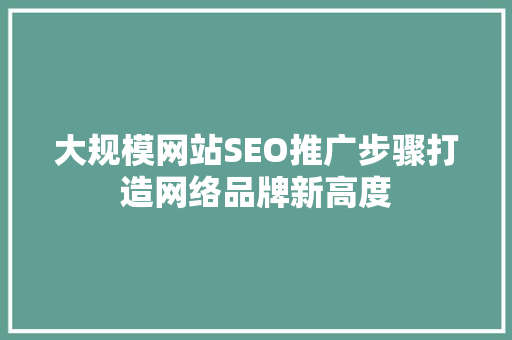 大规模网站SEO推广步骤打造网络品牌新高度