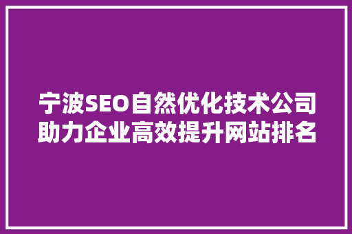 宁波SEO自然优化技术公司助力企业高效提升网站排名