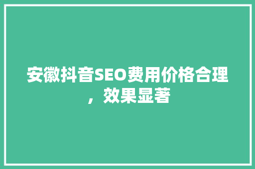 安徽抖音SEO费用价格合理，效果显著
