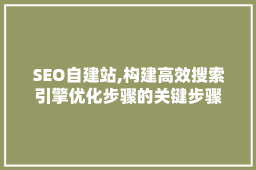 SEO自建站,构建高效搜索引擎优化步骤的关键步骤