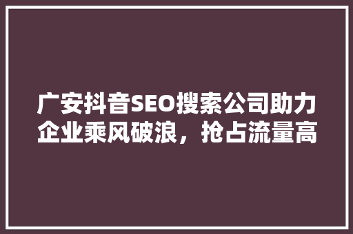 广安抖音SEO搜索公司助力企业乘风破浪，抢占流量高地