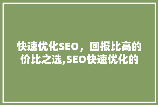 快速优化SEO，回报比高的价比之选,SEO快速优化的费用与价值