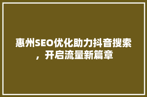 惠州SEO优化助力抖音搜索，开启流量新篇章