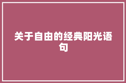 惠州企业SEO推广价格价比之选，助力企业腾飞  第1张