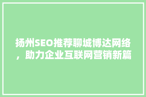 扬州SEO推荐聊城博达网络，助力企业互联网营销新篇章