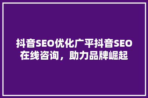 抖音SEO优化广平抖音SEO在线咨询，助力品牌崛起