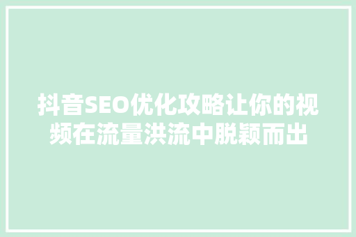 抖音SEO优化攻略让你的视频在流量洪流中脱颖而出