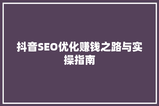 抖音SEO优化赚钱之路与实操指南