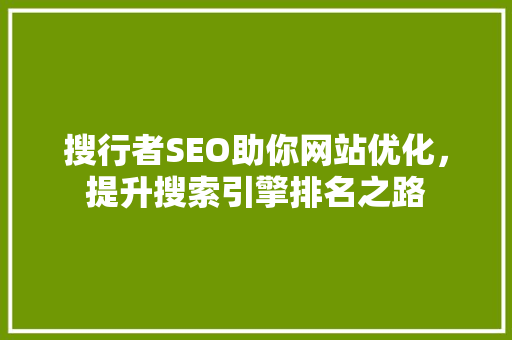 搜行者SEO助你网站优化，提升搜索引擎排名之路
