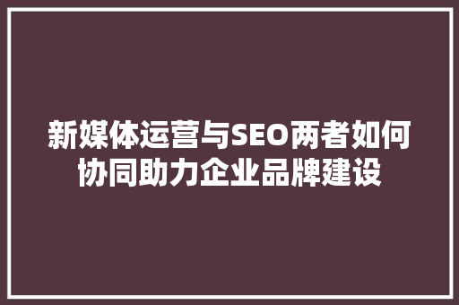 新媒体运营与SEO两者如何协同助力企业品牌建设