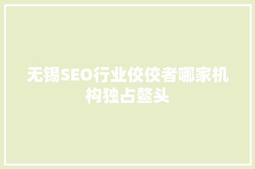 无锡SEO行业佼佼者哪家机构独占鳌头
