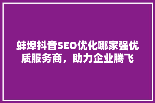 蚌埠抖音SEO优化哪家强优质服务商，助力企业腾飞