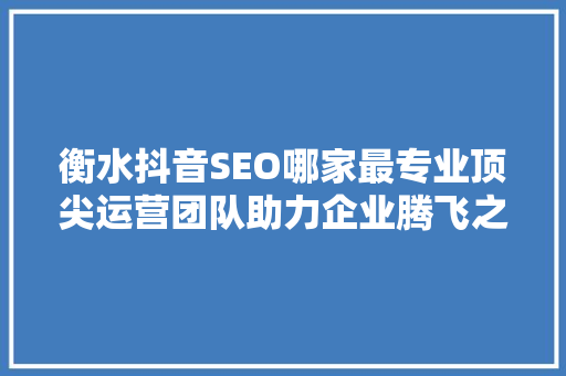 衡水抖音SEO哪家最专业顶尖运营团队助力企业腾飞之路