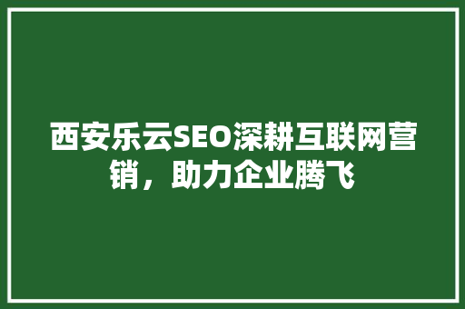 西安乐云SEO深耕互联网营销，助力企业腾飞