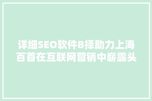 详细SEO软件B择助力上海百首在互联网营销中崭露头角