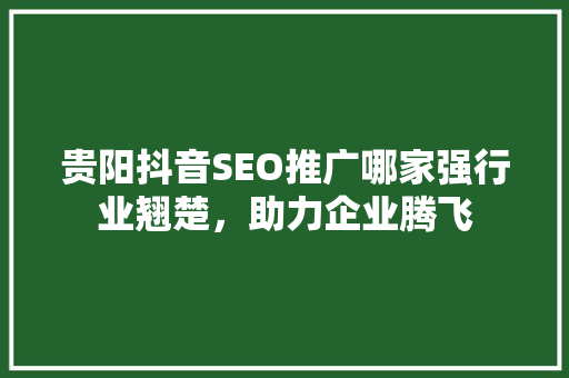 贵阳抖音SEO推广哪家强行业翘楚，助力企业腾飞