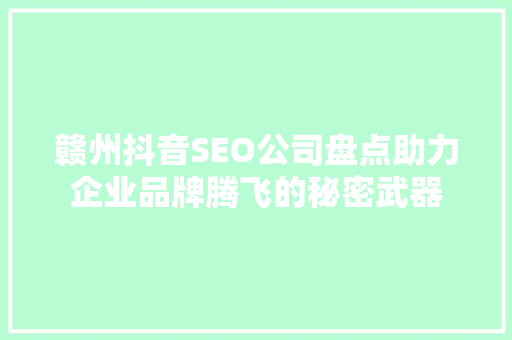 赣州抖音SEO公司盘点助力企业品牌腾飞的秘密武器
