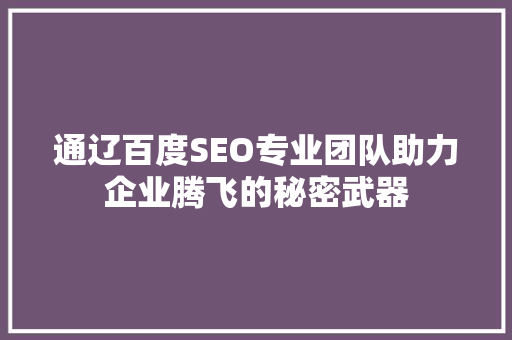通辽百度SEO专业团队助力企业腾飞的秘密武器