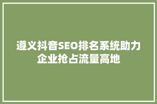 遵义抖音SEO排名系统助力企业抢占流量高地