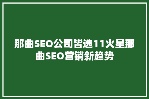 那曲SEO公司皆选11火星那曲SEO营销新趋势