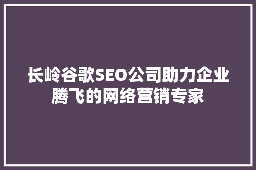 长岭谷歌SEO公司助力企业腾飞的网络营销专家