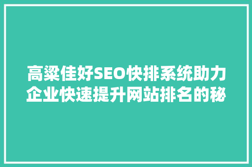 高粱佳好SEO快排系统助力企业快速提升网站排名的秘密武器