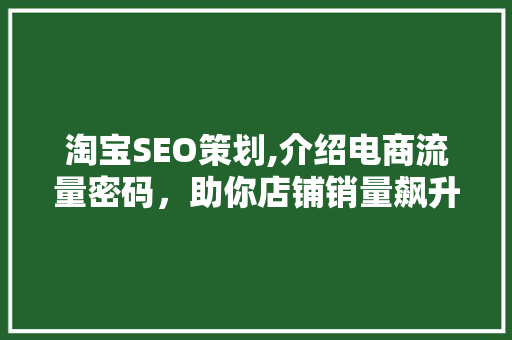 淘宝SEO策划,介绍电商流量密码，助你店铺销量飙升