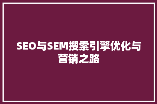 SEO与SEM搜索引擎优化与营销之路
