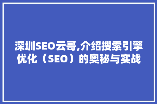 深圳SEO云哥,介绍搜索引擎优化（SEO）的奥秘与实战方法